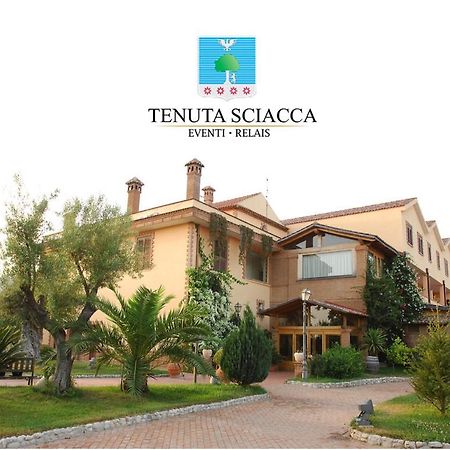 Tenuta Sciacca Villa Falciano del Massico Exterior foto