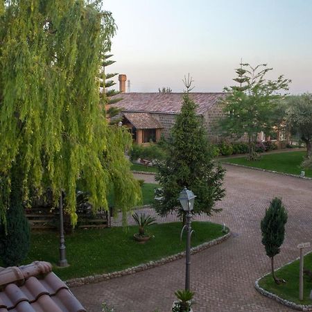 Tenuta Sciacca Villa Falciano del Massico Exterior foto