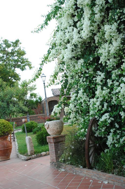 Tenuta Sciacca Villa Falciano del Massico Exterior foto