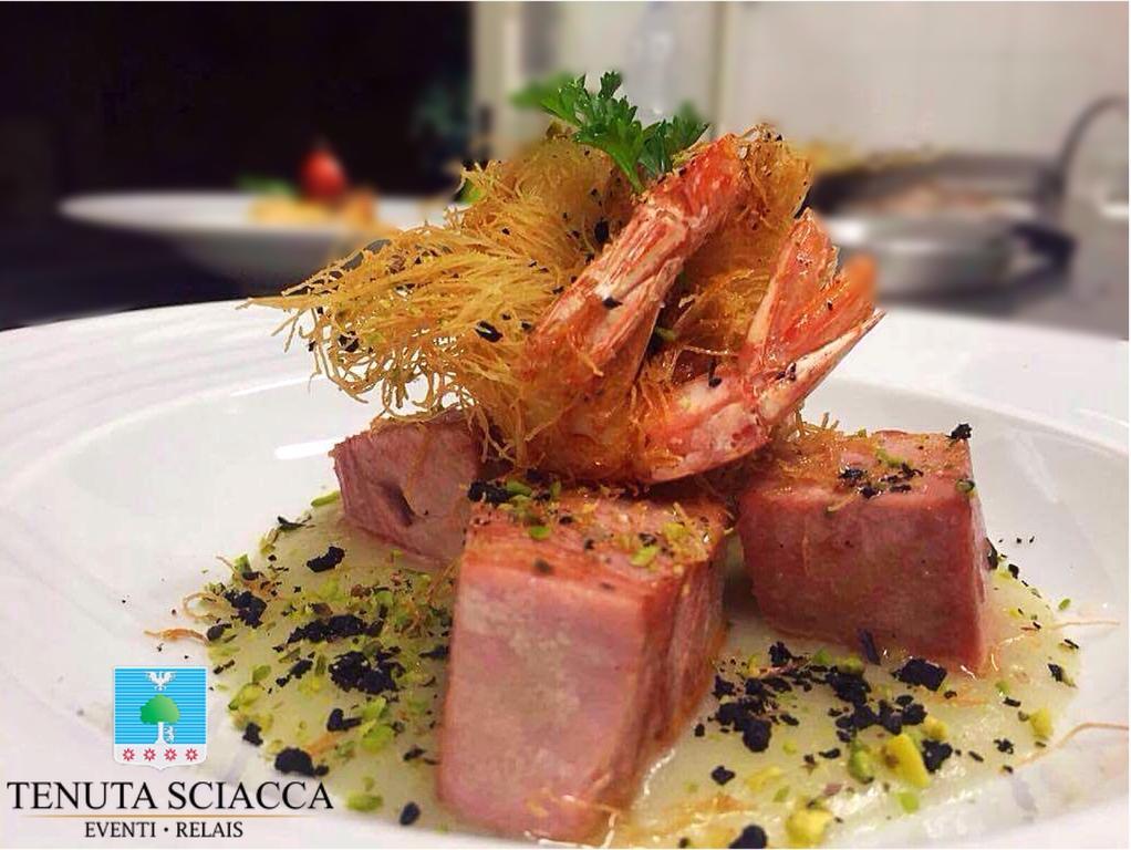 Tenuta Sciacca Villa Falciano del Massico Exterior foto