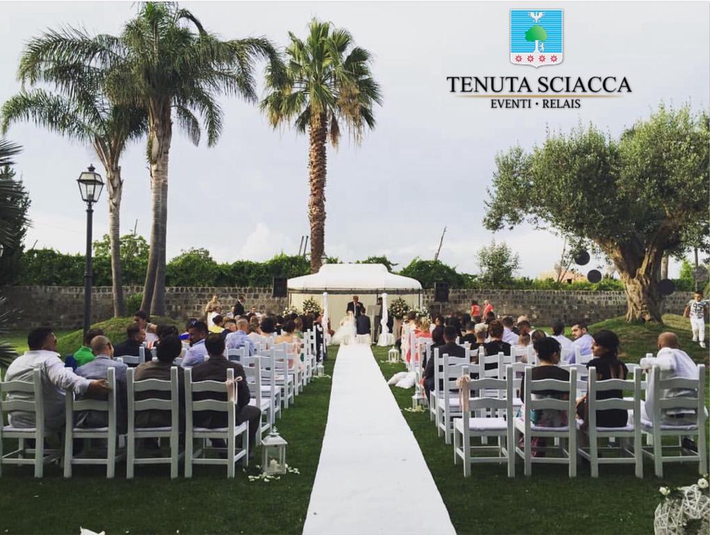 Tenuta Sciacca Villa Falciano del Massico Exterior foto