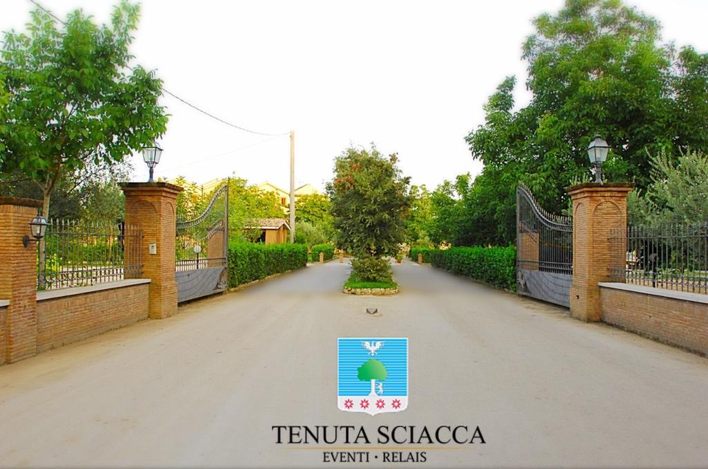 Tenuta Sciacca Villa Falciano del Massico Exterior foto