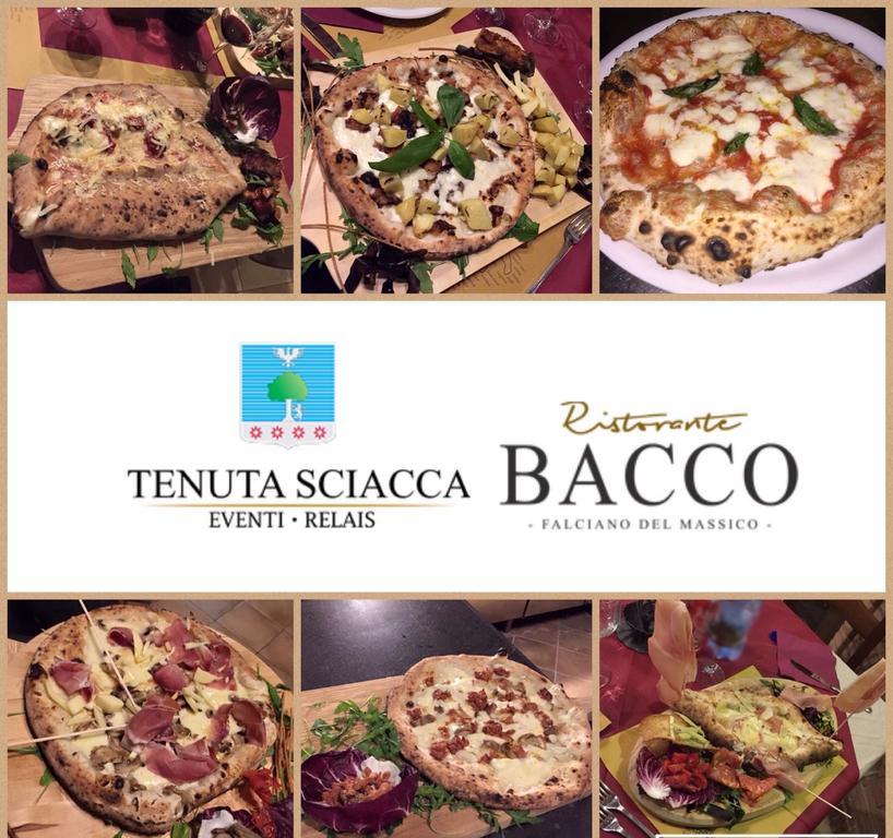 Tenuta Sciacca Villa Falciano del Massico Exterior foto