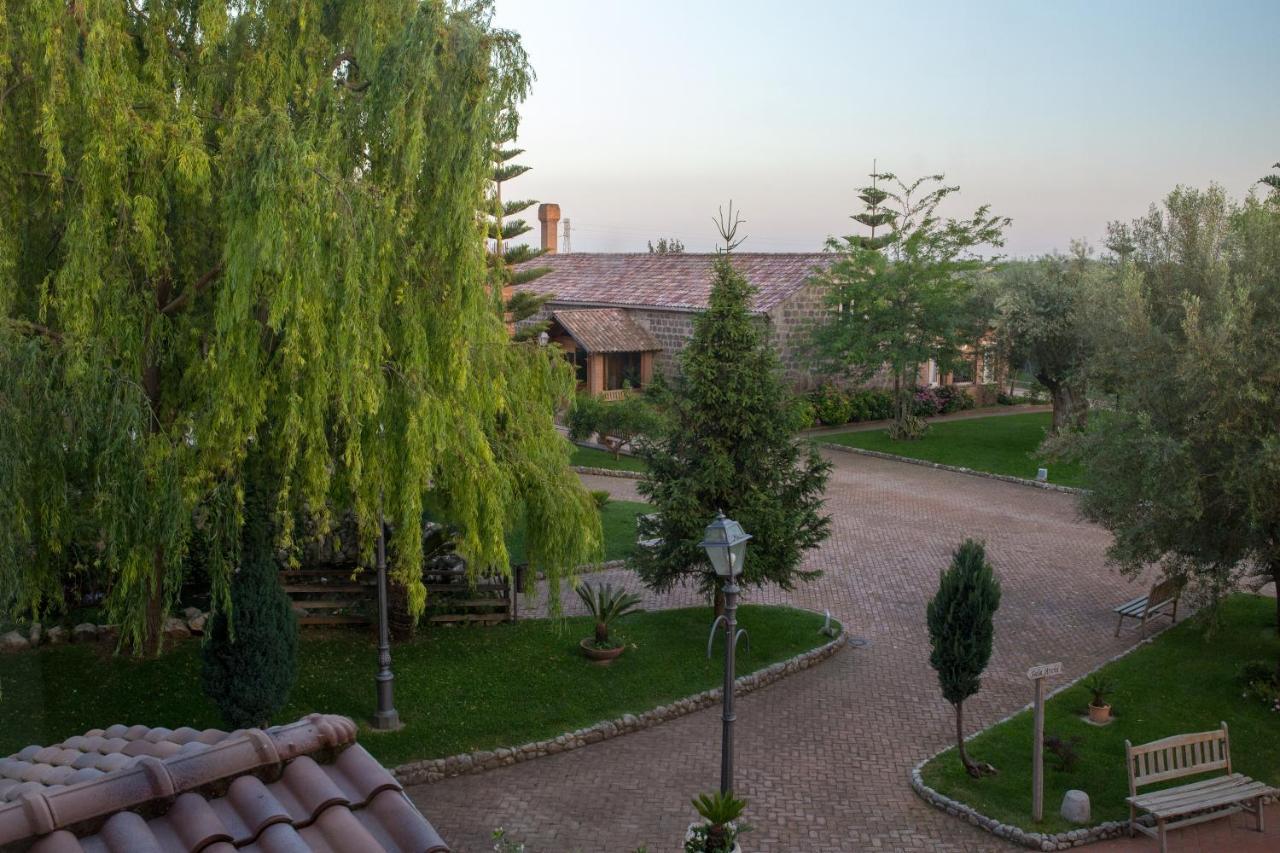 Tenuta Sciacca Villa Falciano del Massico Exterior foto
